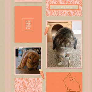 Happy Bunnies