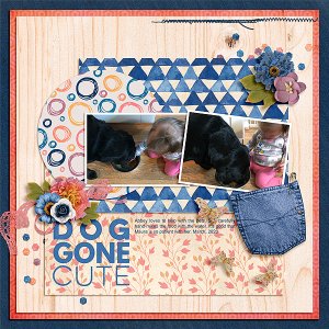 Dog Gone Cute