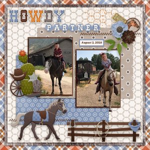 Howdy Partner
