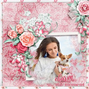 Charm-of-this-moment1