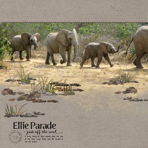 Elephant Parade