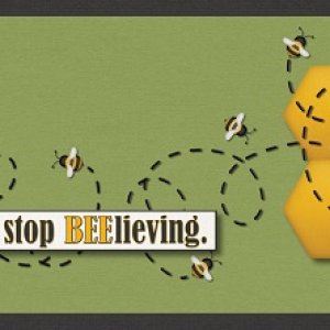 Never stop beelieving