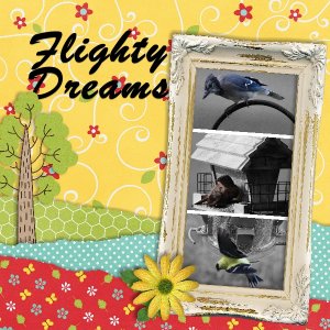 Flighty Dreams