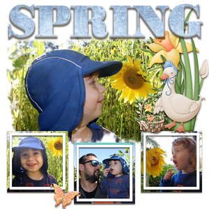 Spring