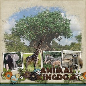 Animal Kingdom