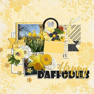 happy daffodils