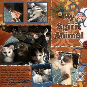 Cats Galore