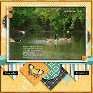 Almshouse Pond