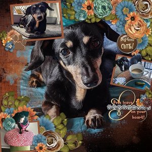 Pets leave Pawprints on your Heart