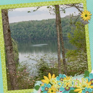 Spring at the Lake