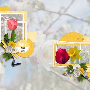 April-20-Signs-of-SpringWEB