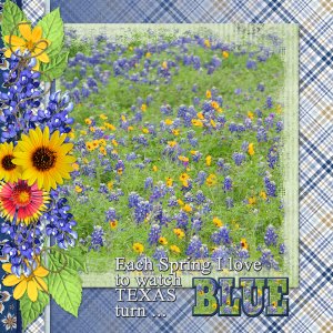 Each Spring I love to watch TEXAS turn ... BLUE