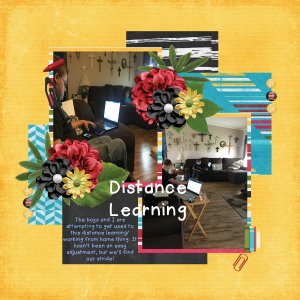 DistanceLearning