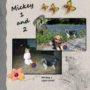2020_Survivor_Ginger_Scraps_MIckey_week_3_600