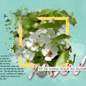 Your Time to Blossom