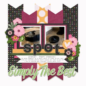 Spot