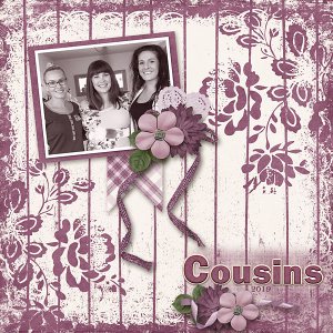 Cousins49