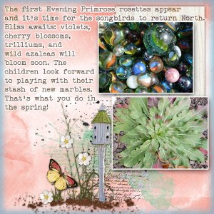 Memories of Spring