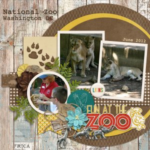 Lions at the National Zoo