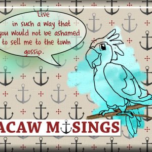 ATC 2020-063 Macaw Musings