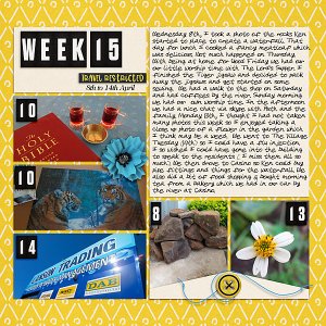 Project Life 2020 Week 15