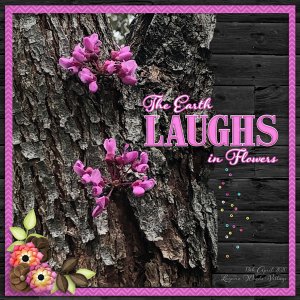 Laguna Woods Flowers