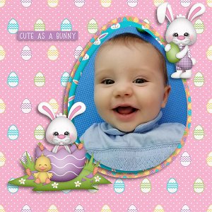 Cute Bunny