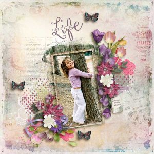 Life Captured