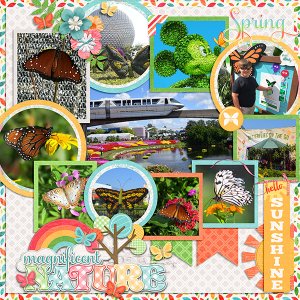 Flower + Garden
