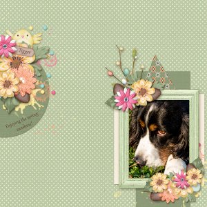 April Step by Step