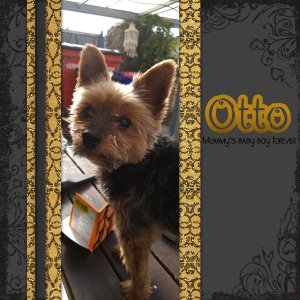 Otto