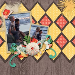 Fun at the Beach