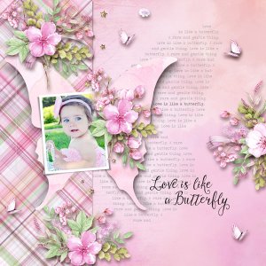 01-butterfly-love