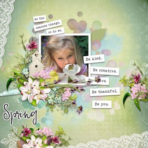 02-Spring1