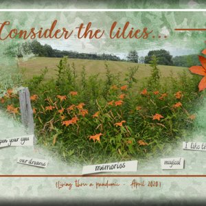 ATC 2020-066 Consider the Lilies
