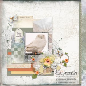 Life Captured - In the Great Outdoors