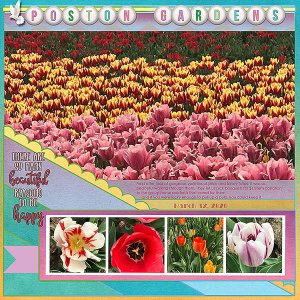 GSBuffetCh420-PostonGardens31220