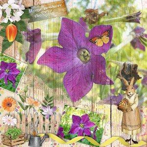 Home Garden