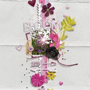 Bloom