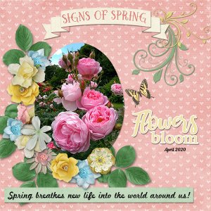 Breath Of Spring