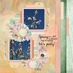 Spring Party
