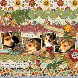 Autumn Puppies