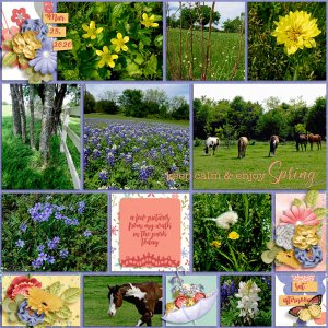 Enjoy Spring