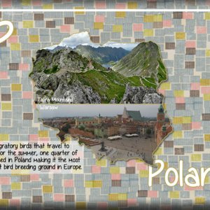 ATC 2020-067 P