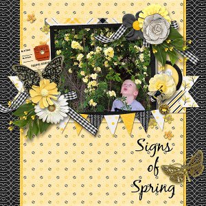 Signs of Spring