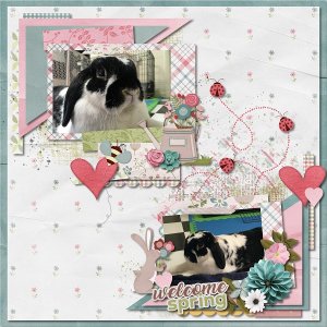 Bunny Love Welcom Spring