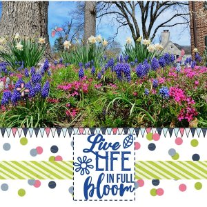 April 2020 Word Art Challenge