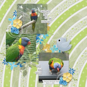 Birds at Cleland Wildlife Park