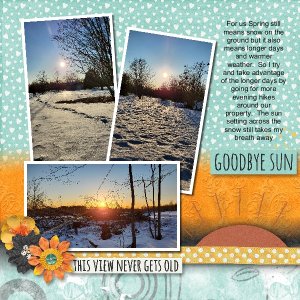 Goodbye Sun