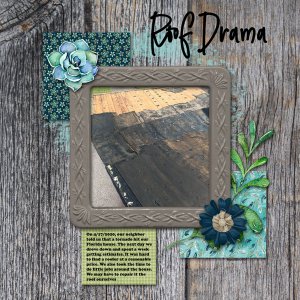Roof Drama